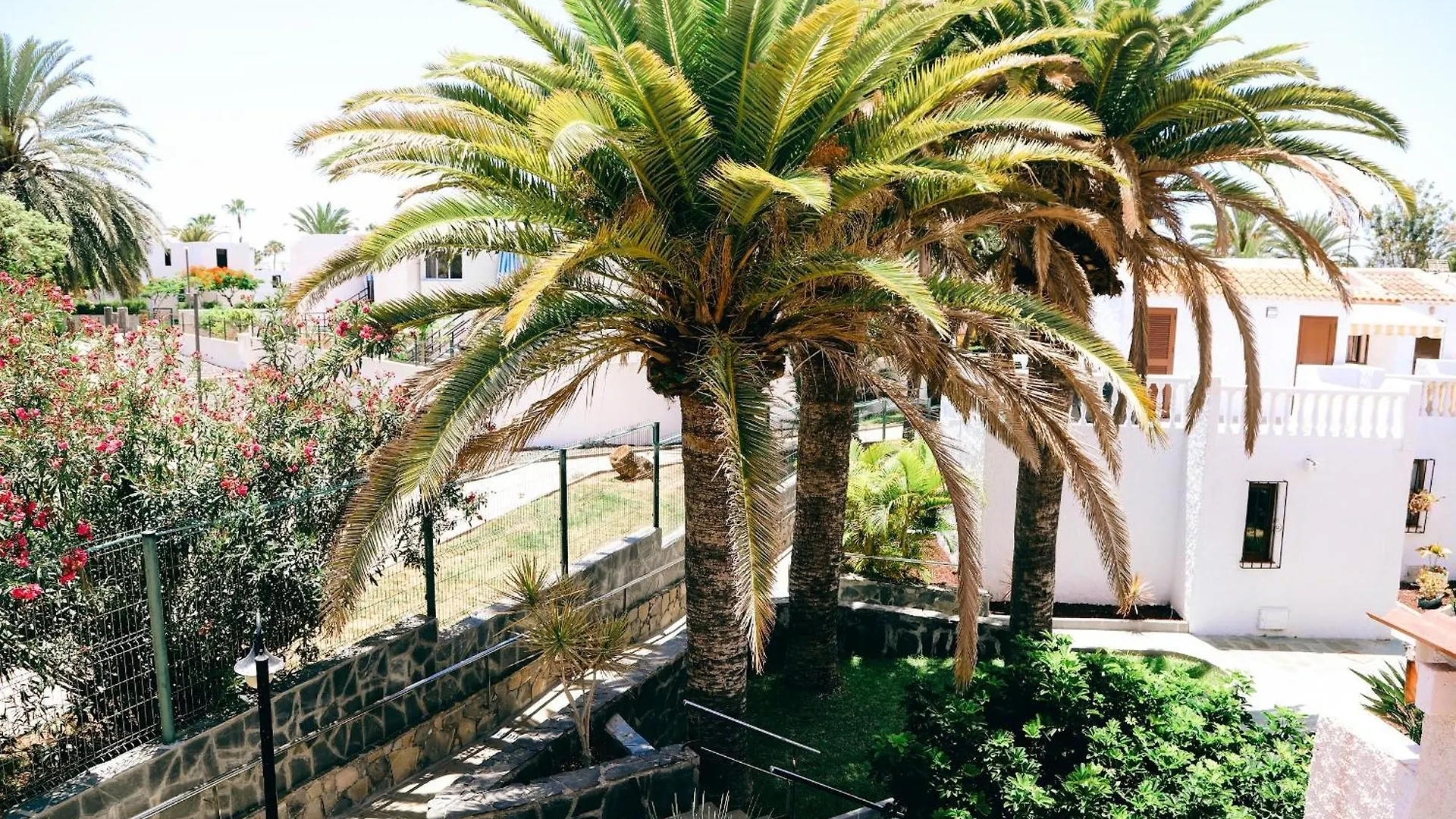 Apartamento Virginia Playa de las Américas España